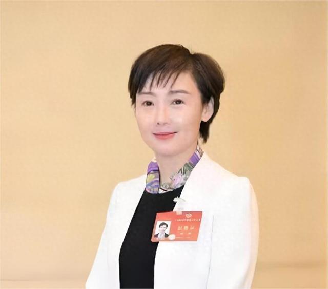 "全国政协委员,民进重庆市委副主委,重庆市渝中区政府副区长高琳建议