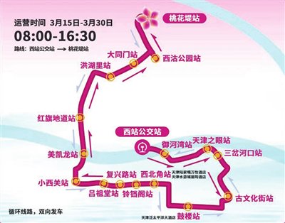 春风始盛 桃醉红桥(图)|天津市_新浪财经_新浪网