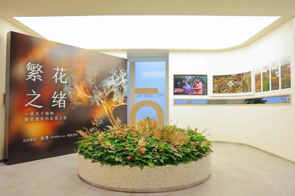 根据联合国官网公开资料,5万种野生动植物满足了全球数十亿人的需求.