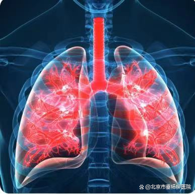 生命全周期管理系列科普 | 老年医学科:慢性阻塞性肺疾病|疾病_新浪