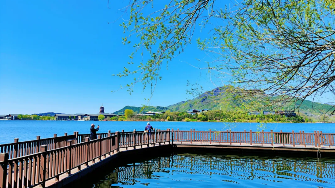 着温暖的春风和煦的阳光来怀柔共赴一场春天的约会吧资料来源:各景区