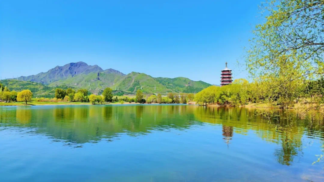 着温暖的春风和煦的阳光来怀柔共赴一场春天的约会吧资料来源:各景区