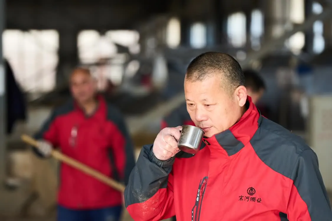 透过一场"春酿之旅",看到宋河酒业的品质匠心和百亿雄心|宋河|酒业
