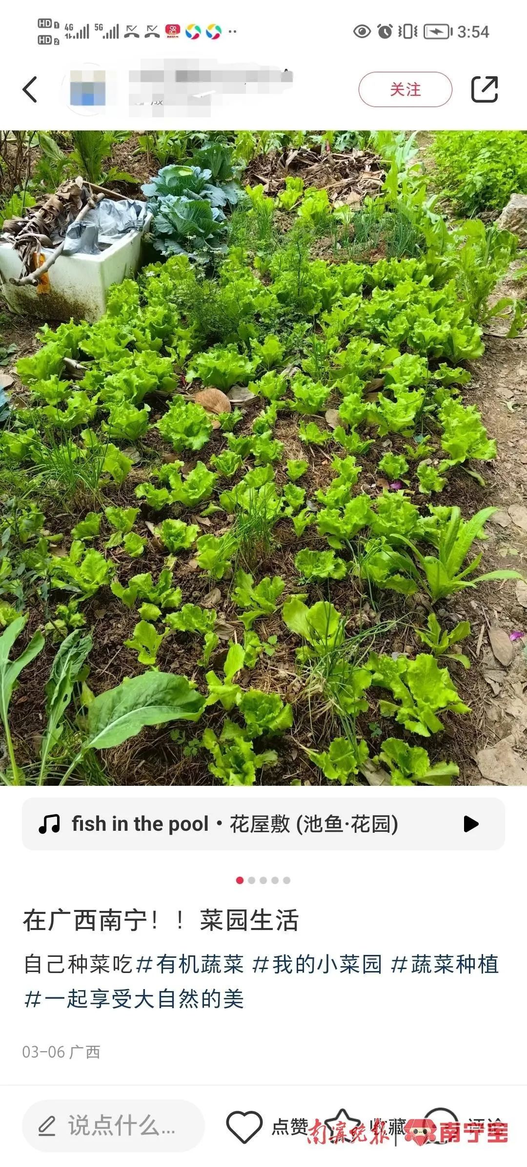 南宁现实版"开心农场"火了|南宁市_新浪财经_新浪网