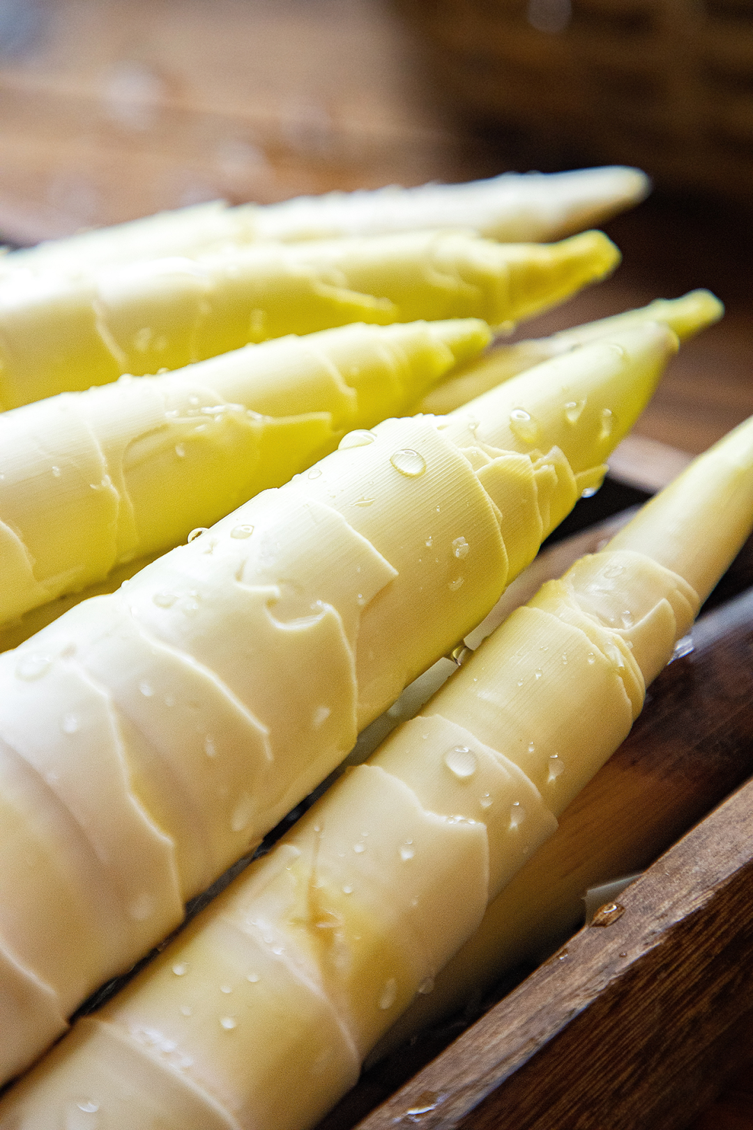 中国春菜第一鲜,比肉还好吃_新浪财经_新浪网