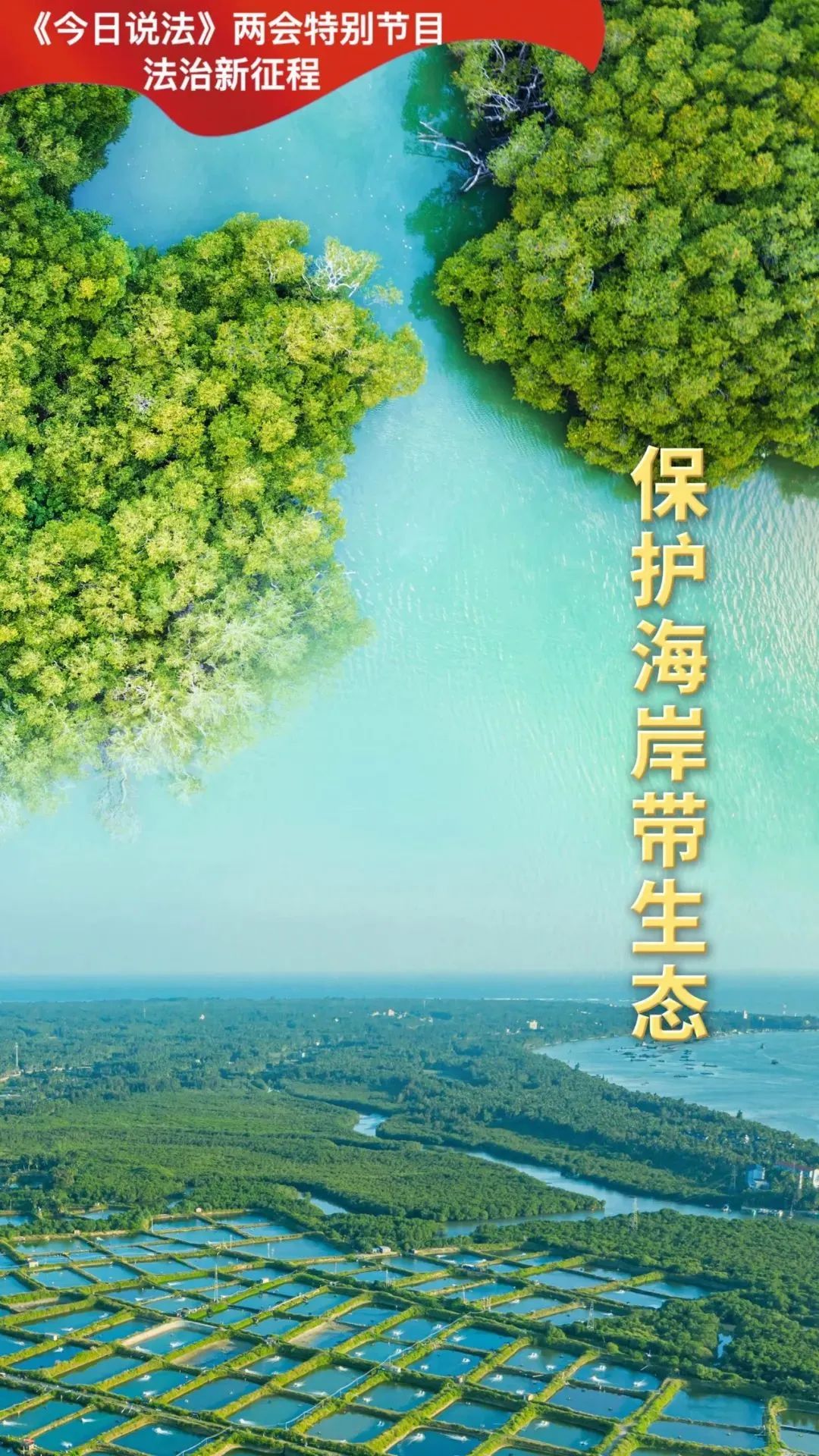法治新征程|筑牢海洋生态环境司法保护屏障,推进红树林保护和海岸带