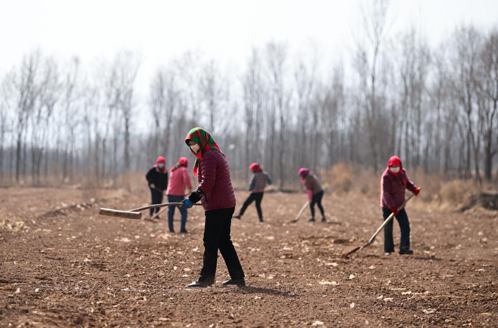 新华社记者张龙 摄地震之后,经过专业部门鉴定,张存兰家的房屋损毁