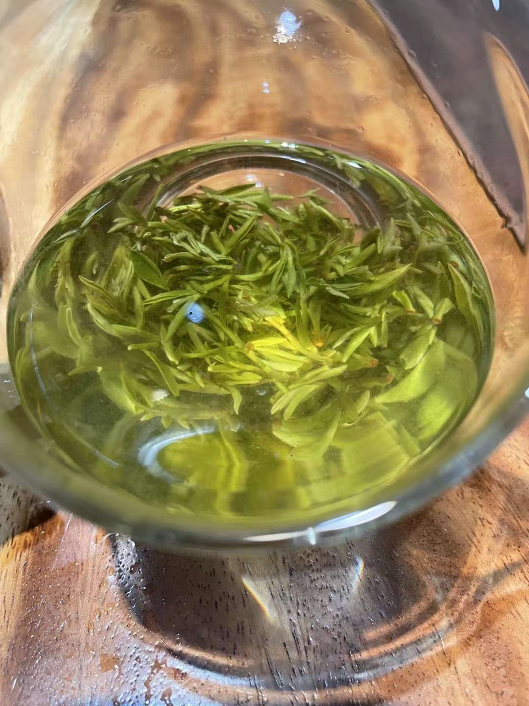 今天 |【老外视线】春茶飘香