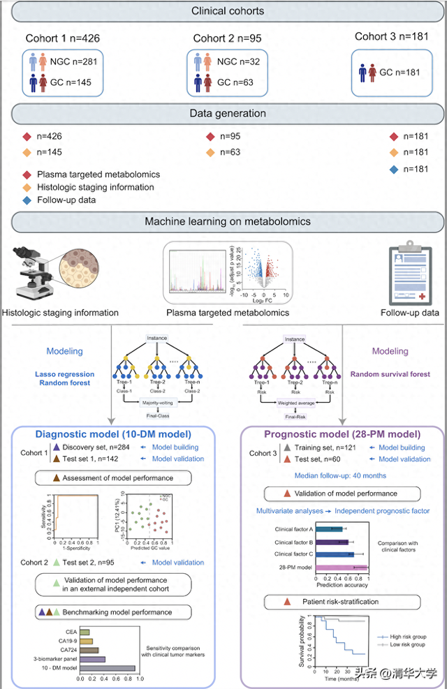 清华团队合作揭示代谢组学结合人工智能在准确诊断胃癌及预测患者预后