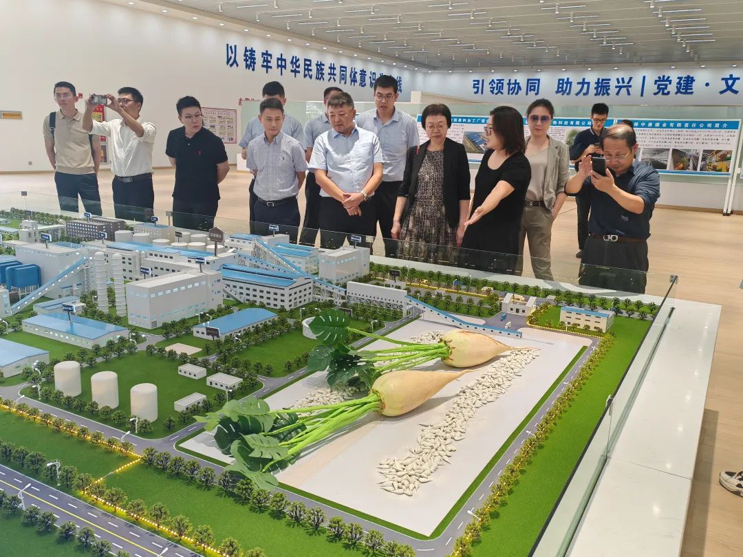 伽师县位于新疆西南部,地处塔克拉玛干沙漠西部,拥有充足的日照和巨大