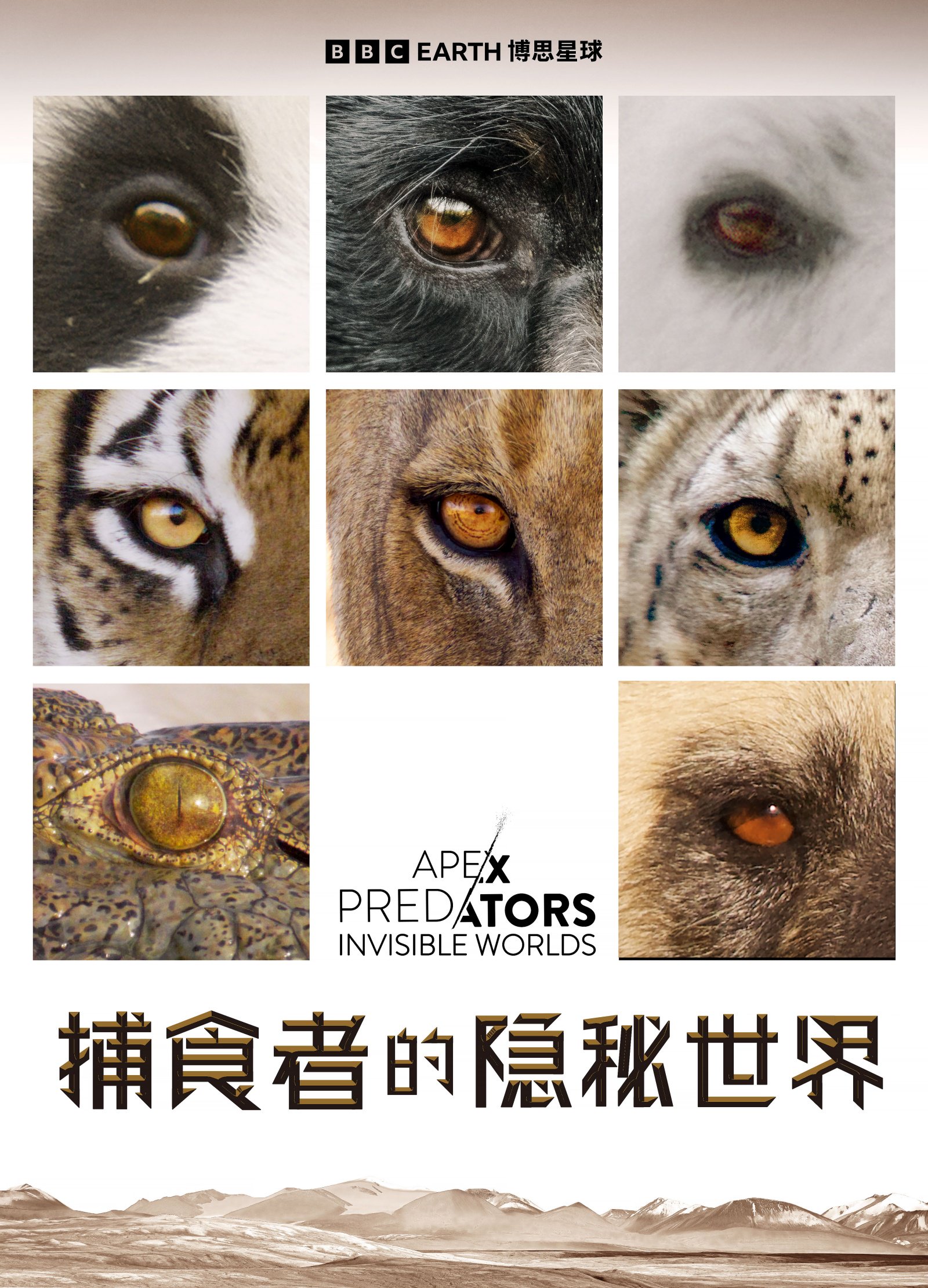 《捕食者的隐秘世界》海报《捕食者的隐秘世界》是2024年度bbc推出的