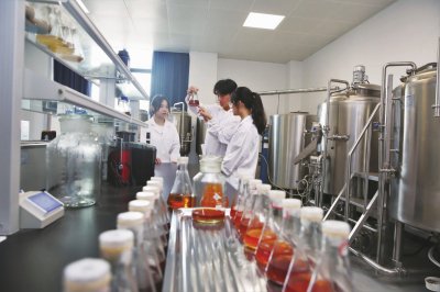 培育白酒新动能 推动行业"智改数转"工作|产业链_新浪财经_新浪网