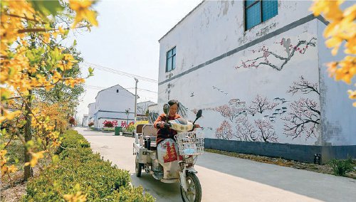 图为夏邑县会亭镇关常楼村村民房屋外墙上的彩绘.