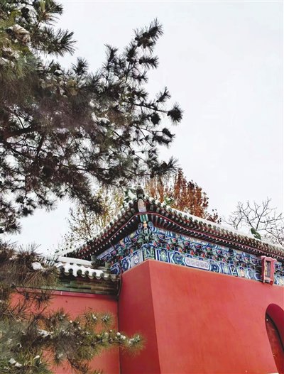 一多年前游览苏州穹窿山上真观的时候,我被一棵树冠巨大的白玉兰所