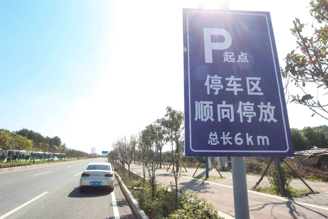 高峰大道两侧停车区指示牌,两侧可顺向免费停车.