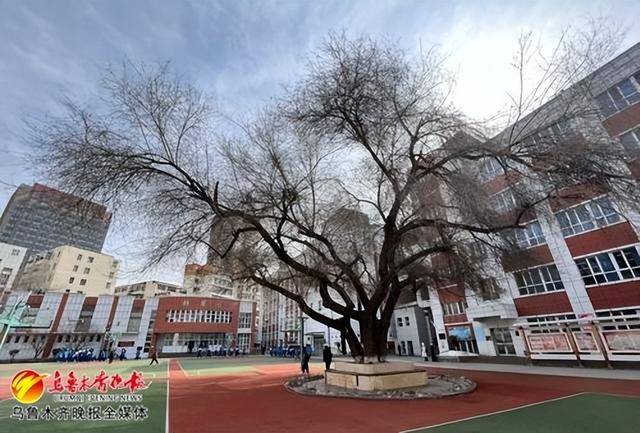 乌鲁木齐市第八中学校园(3月11日摄).记者王畅彤摄