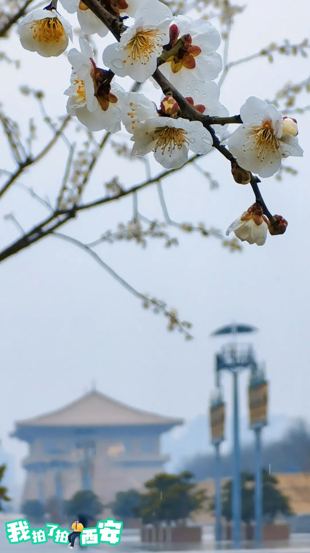 1080_1921竖版 竖屏