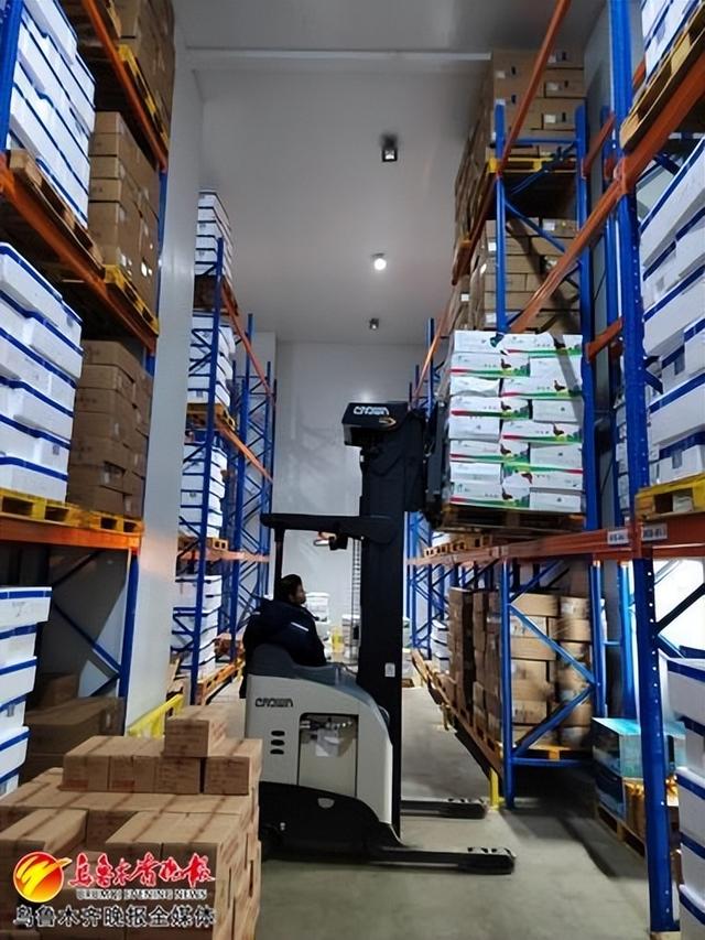 在新疆吉多利商贸有限公司冷链项目部冷冻温区,工作人员正在入库货物