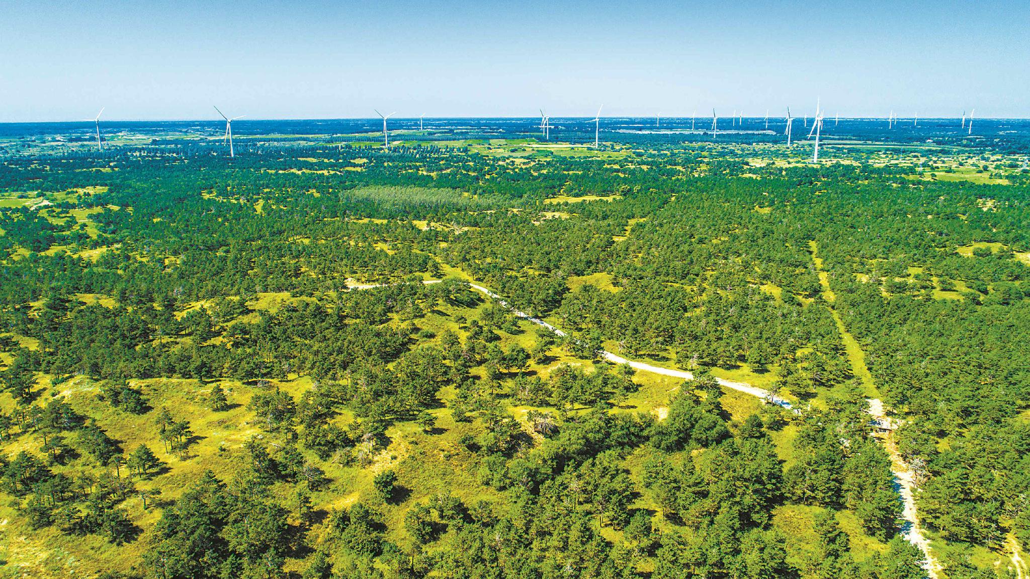 辽宁省彰武县辽西北防护林带.