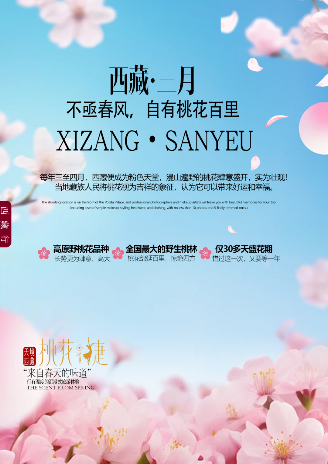 旅行分享会招募藏地桃花笑春风