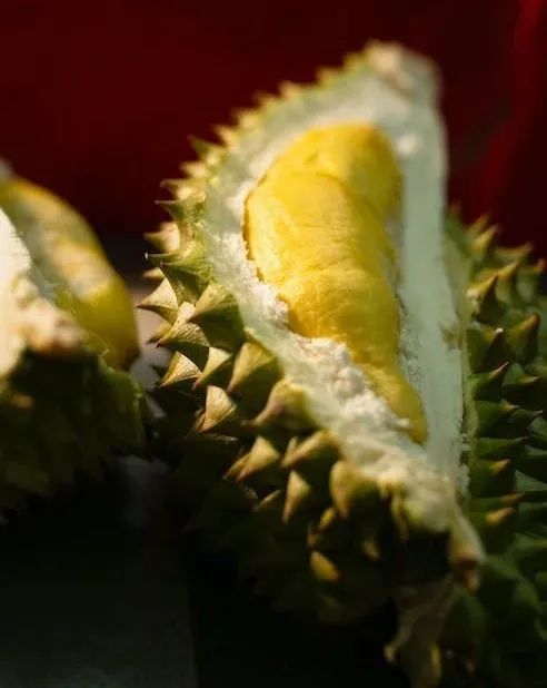 香蕉_新浪财经_新浪网