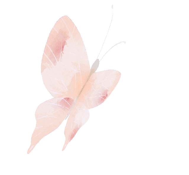 旅行分享会招募藏地桃花笑春风