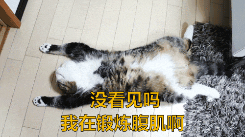 好巧,你也有"健身房恐惧症"啊|深蹲|健身房|健身_新浪新闻