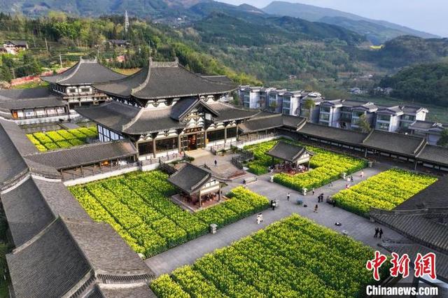 金色四川春色如画_新浪财经_新浪网