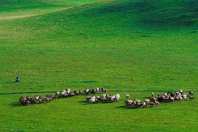 农民_新浪财经_新浪网