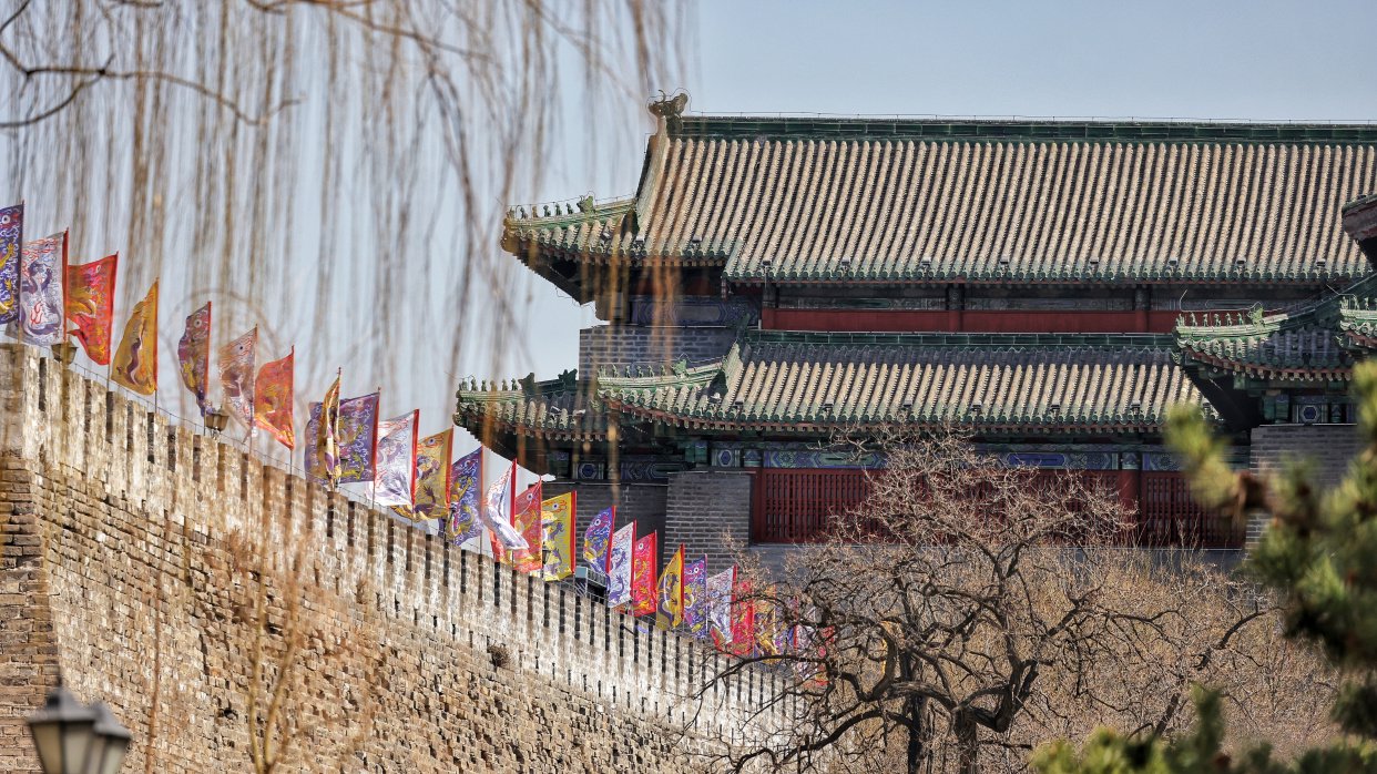 大美东城|明城墙遗址公园梅花进入盛花期