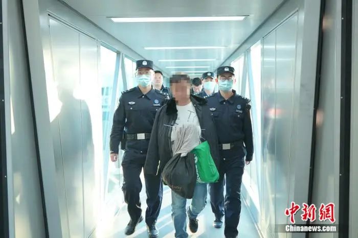 红通嫌犯被押解回国|公安部_新浪财经_新浪网