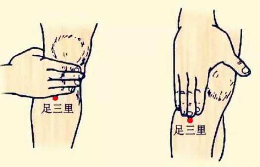 图2:足三里穴