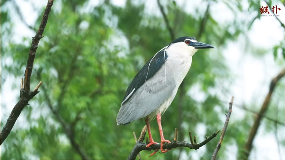 在野外工作的这些女性,能在自然中走多远|李彬彬_新浪财经_新浪网