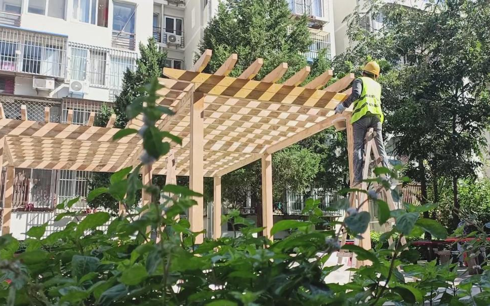 金鱼池的五座凉亭,不光变新了_新浪财经_新浪网