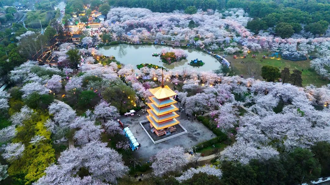 01地铁8号线梨园站c口,可从听涛景区乘观光车到达99东湖风景区鲁
