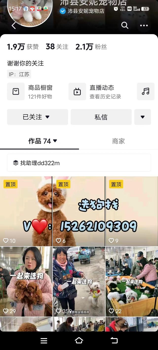 沛县安妮宠物店抖音账号。（花消者供图，记者搜索时已查询不到）