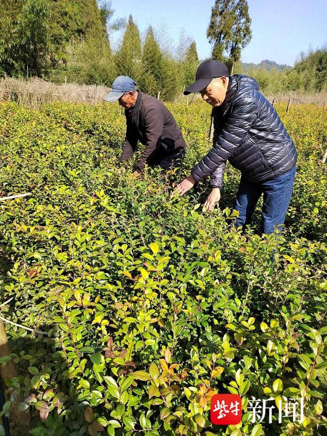 3月12日,站在宜兴阳羡生态旅游度假区(张渚镇)茗岭村淦里水库边的半