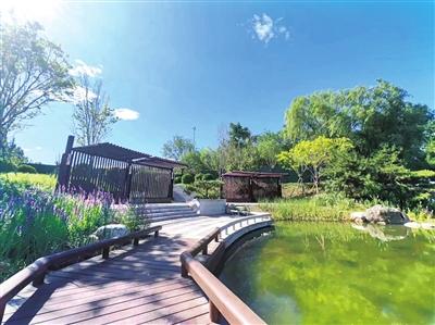 五一渠生态滨河公园即将建成开放|河道_新浪财经_新浪网