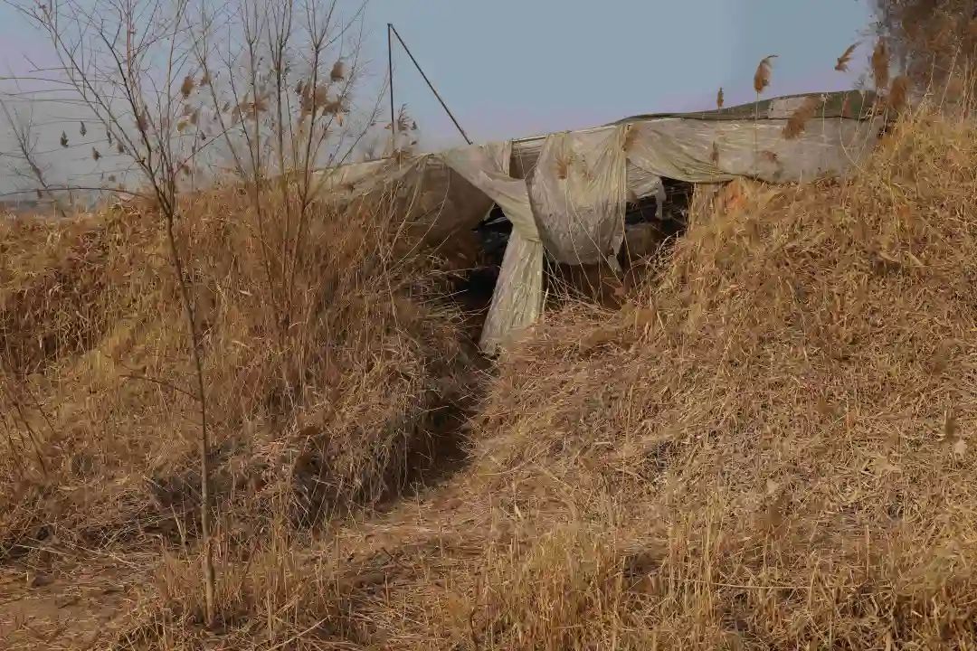 1人住处离埋尸点约100米|邯郸市_新浪财经_新浪网