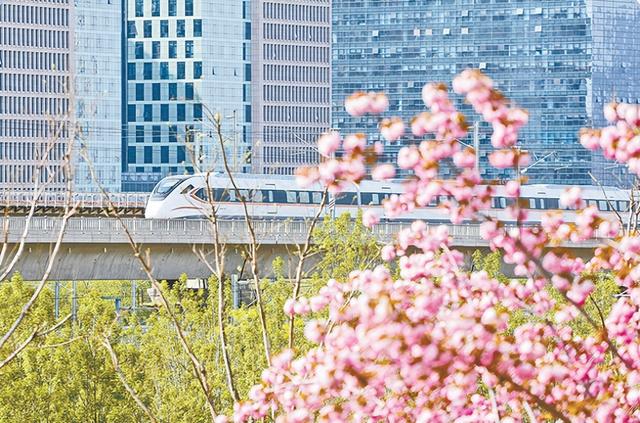 周末春游踏青,郑州铁路加开管内高铁19列|郑州市_新浪财经_新浪网