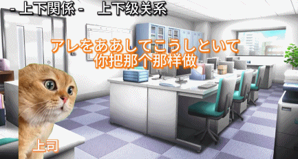 来中国工作的日本单亲妈妈,靠猫猫meme获得20万关注|猫|日本|中国