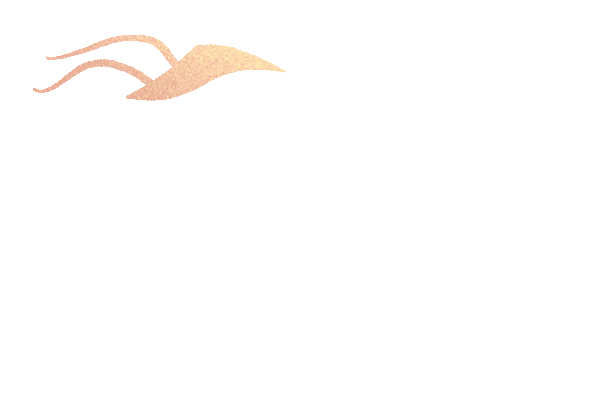 is coming春日款款来春醒万物生,桃花朵朵开这个周末你去桃花节赏花了