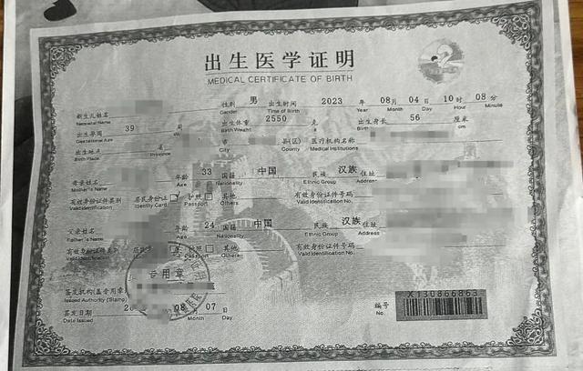 出生医学证明卡通图片