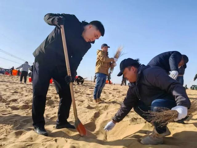 阿拉善植绿沙海让沙漠添绿又生金