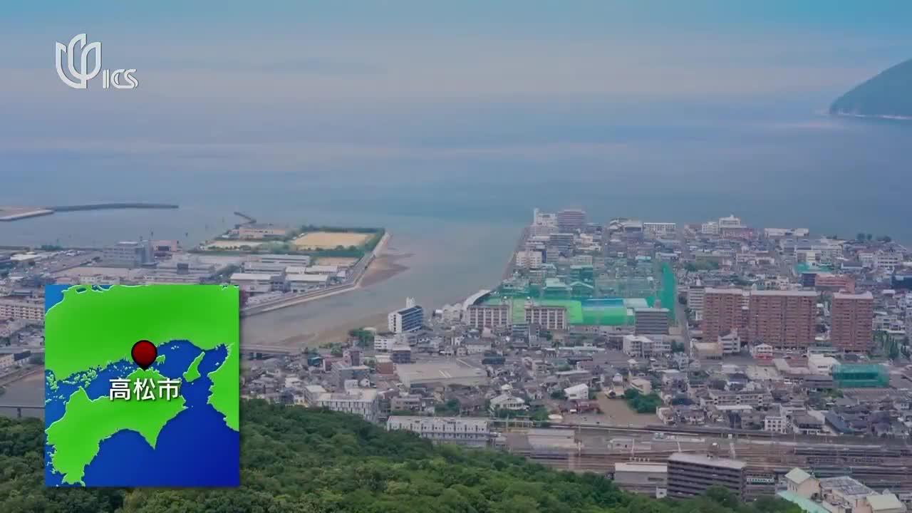 20240317《中日新视界》:高松盆栽 跨越时空的魅力之松