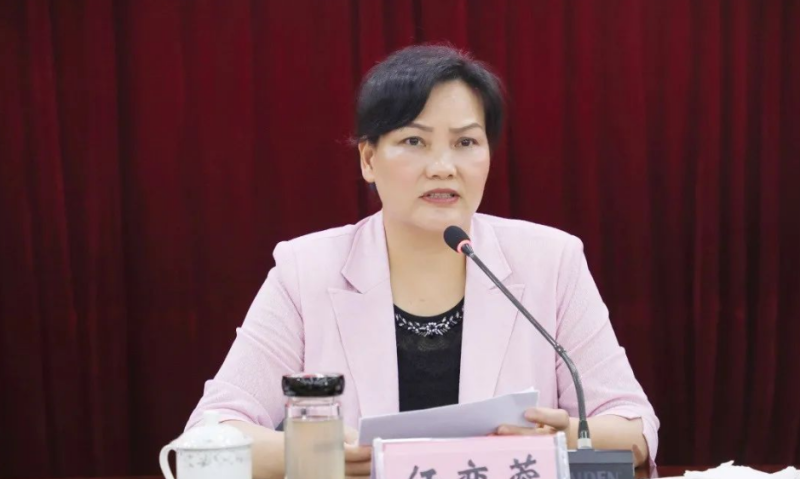 当过5年县委书记的她,被查|百色市|广西壮族自治区|县委书记_新浪科技