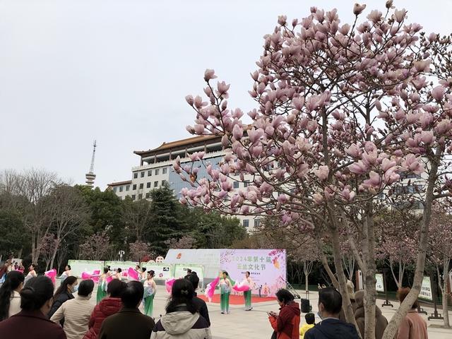 郑州经纬广场2024年第十届玉兰文化节开幕|郑州市