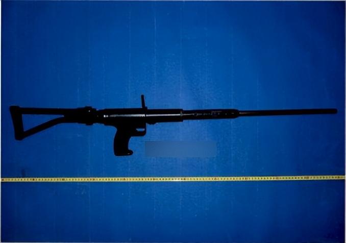 图为小瑞购买的枪状物