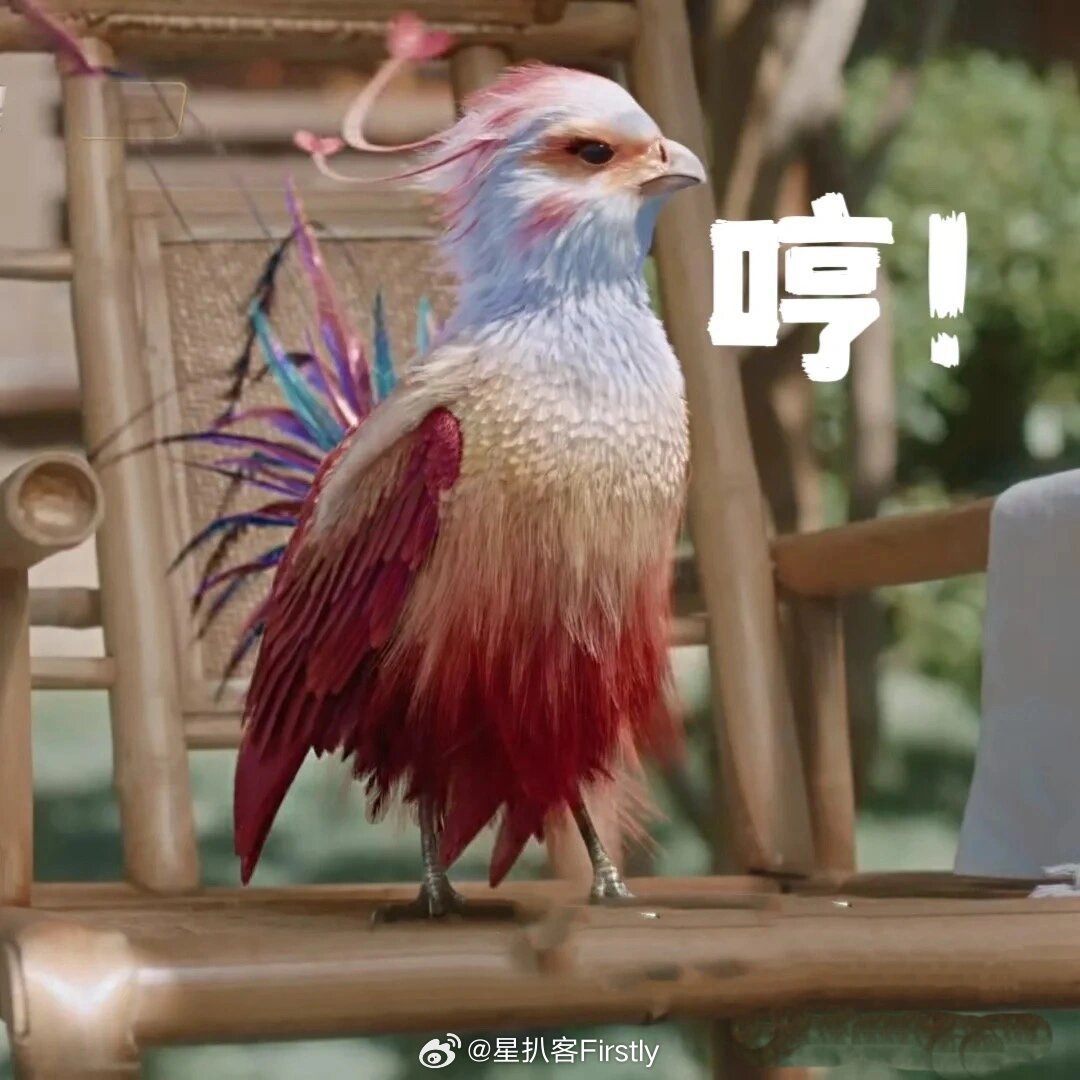《与凤行》—小凤凰表情包太可爱了|与凤行|表情包|凤凰_新浪新闻