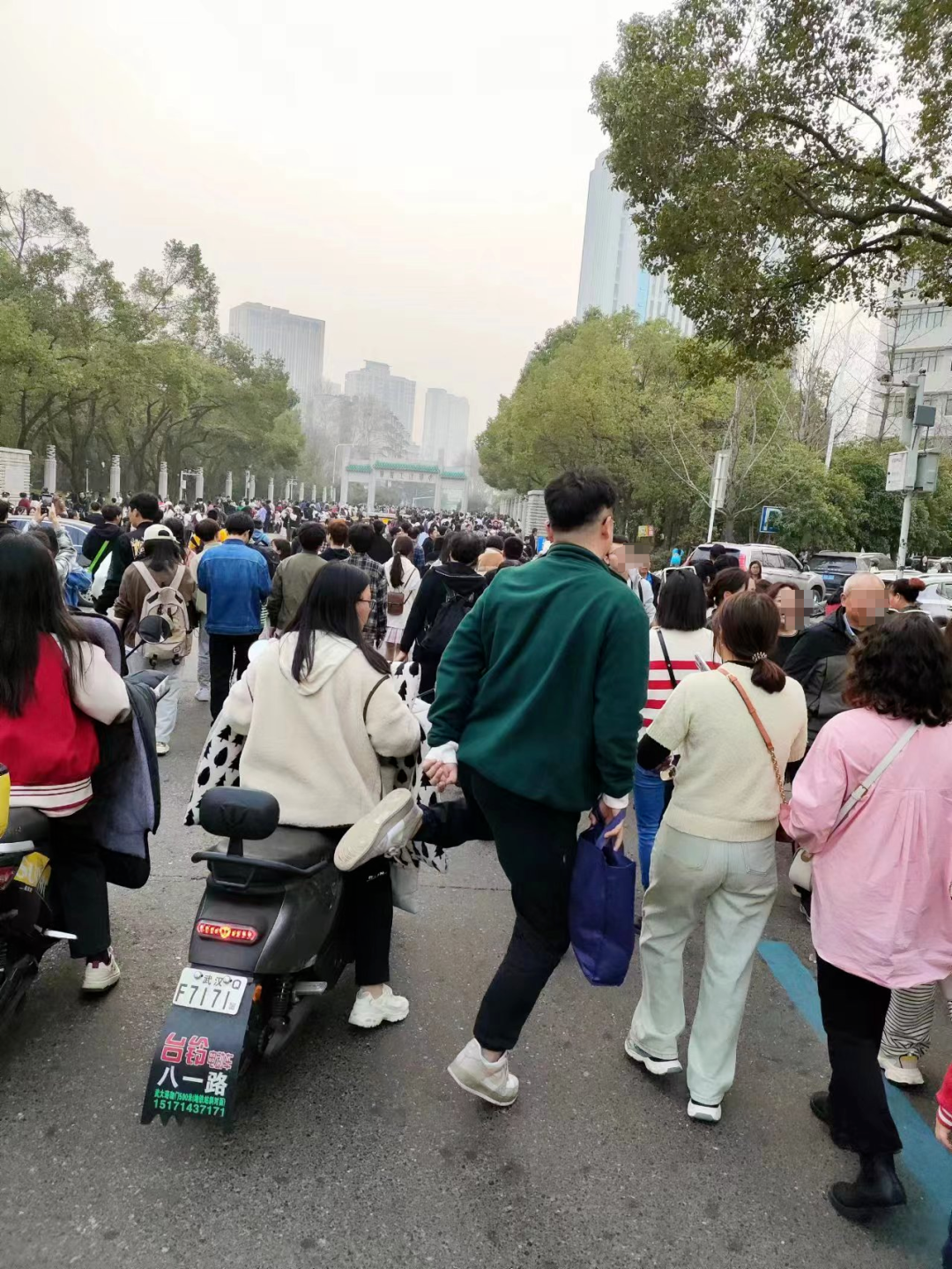 武大学生,真的怕了樱花季|武汉大学_新浪财经_新浪网